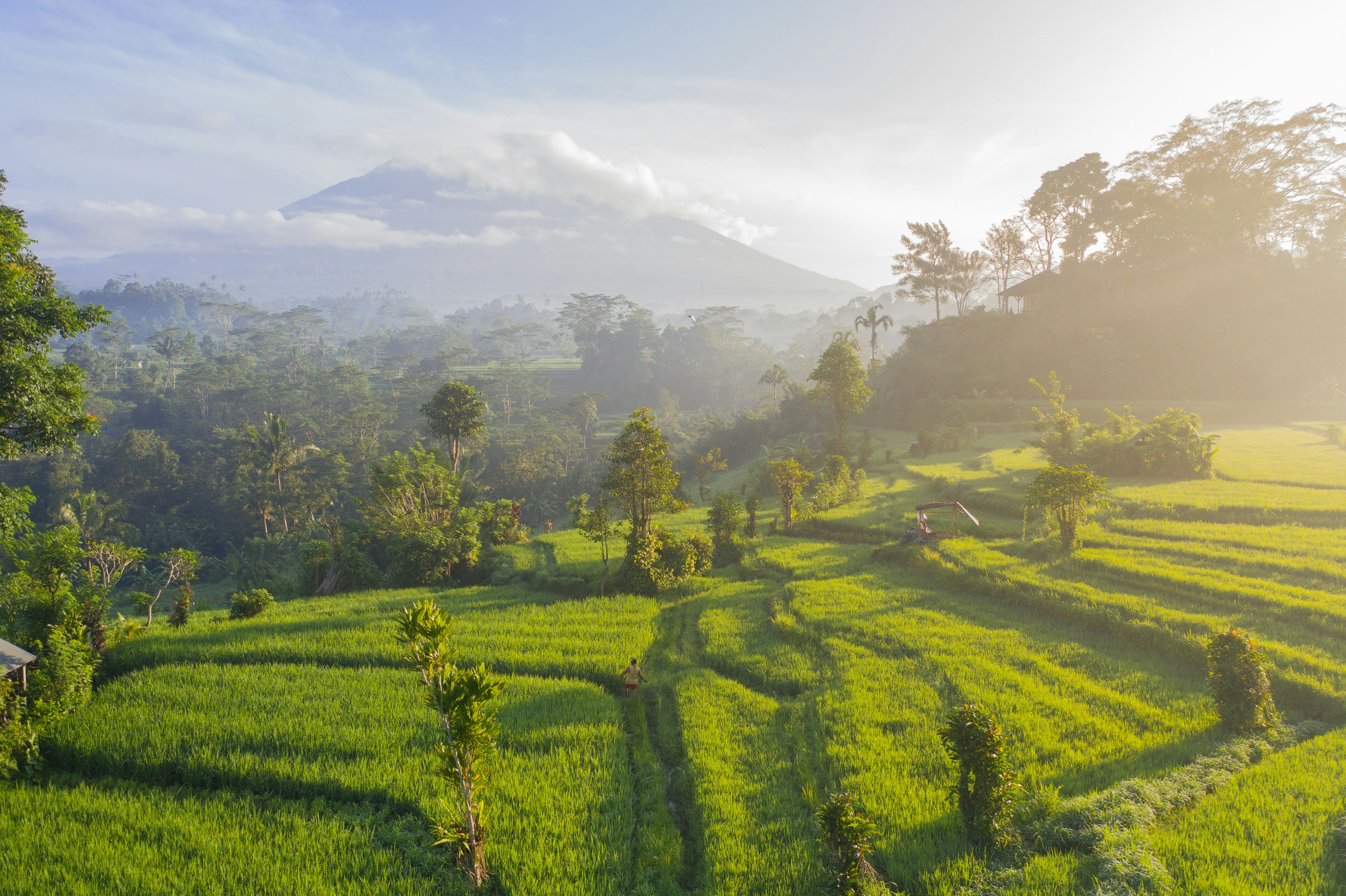 Bali retreat destination